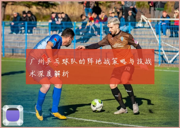 广州乒乓球队的阵地战策略与技战术深度解析