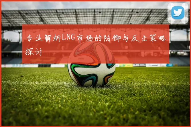 专业解析LNG市场的防御与反击策略探讨