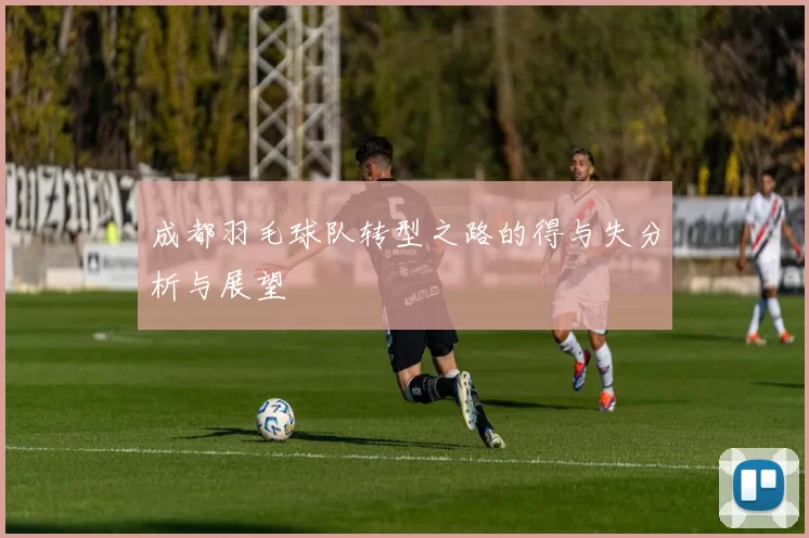 成都羽毛球队转型之路的得与失分析与展望