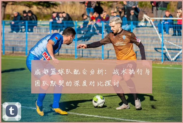 成都篮球队配合分析：战术执行与团队默契的深度对比探讨