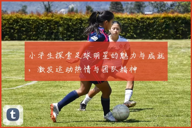 小学生探索足球明星的魅力与成就，激发运动热情与团队精神
