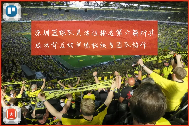 深圳篮球队灵活性排名第六解析其成功背后的训练秘诀与团队协作