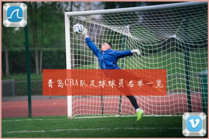 青岛CBA队足球球员名单一览