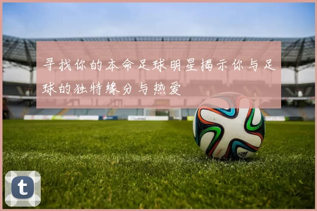 寻找你的本命足球明星揭示你与足球的独特缘分与热爱