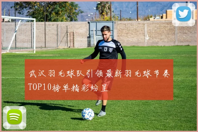 武汉羽毛球队引领最新羽毛球节奏TOP10榜单精彩纷呈