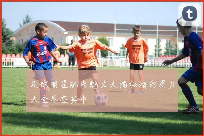 足球明星肌肉魅力大揭秘精彩图片大全尽在其中