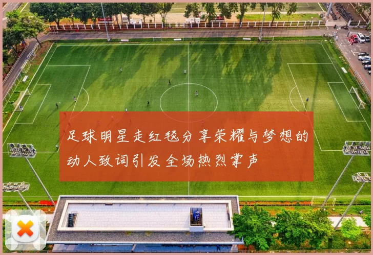 足球明星走红毯分享荣耀与梦想的动人致词引发全场热烈掌声