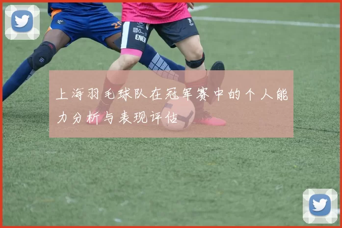 上海羽毛球队在冠军赛中的个人能力分析与表现评估