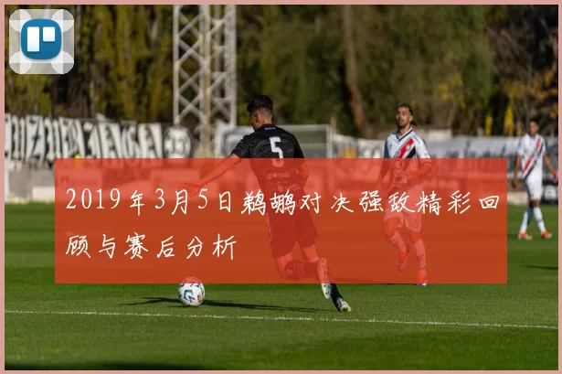 2019年3月5日鹈鹕对决强敌精彩回顾与赛后分析
