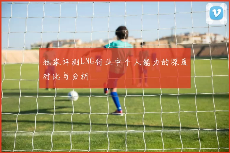 独家评测LNG行业中个人能力的深度对比与分析