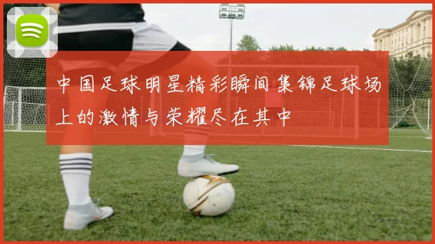 中国足球明星精彩瞬间集锦足球场上的激情与荣耀尽在其中