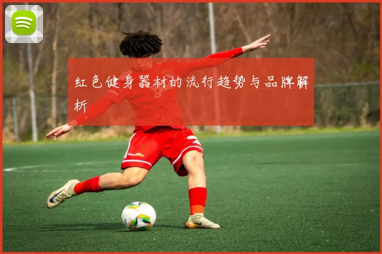 红色健身器材的流行趋势与品牌解析