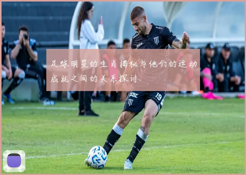 足球明星的生肖揭秘与他们的运动成就之间的关系探讨