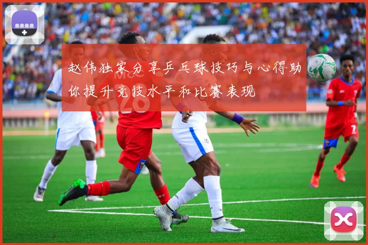 赵伟独家分享乒乓球技巧与心得助你提升竞技水平和比赛表现