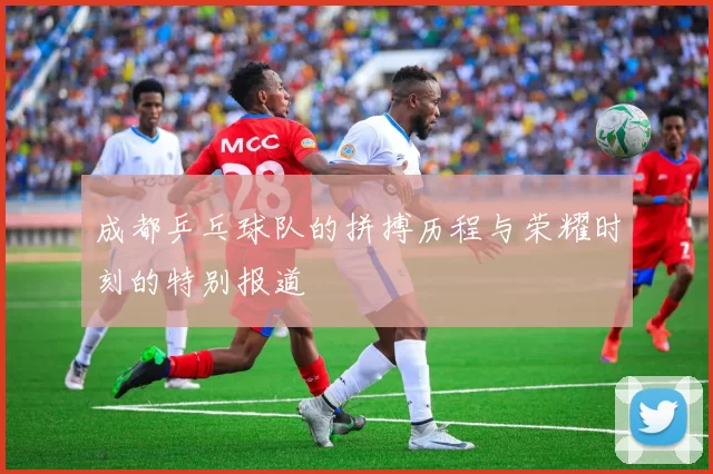 成都乒乓球队的拼搏历程与荣耀时刻的特别报道