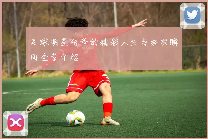 足球明星狗爷的精彩人生与经典瞬间全景介绍