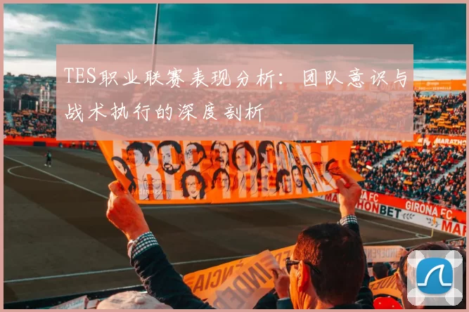 TES职业联赛表现分析：团队意识与战术执行的深度剖析