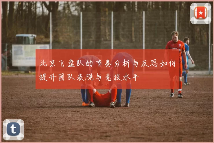 北京飞盘队的节奏分析与反思如何提升团队表现与竞技水平