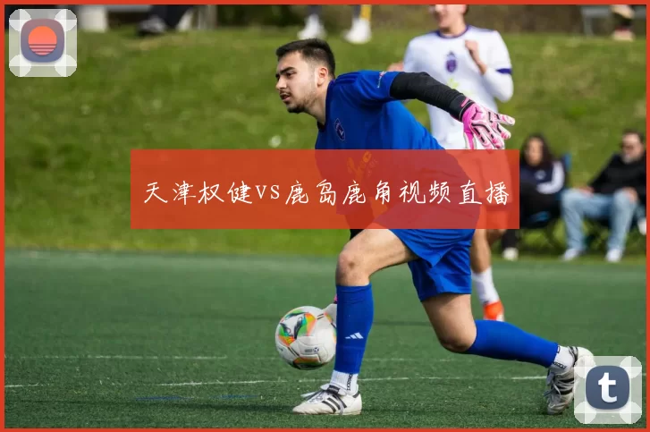 天津权健vs鹿岛鹿角视频直播